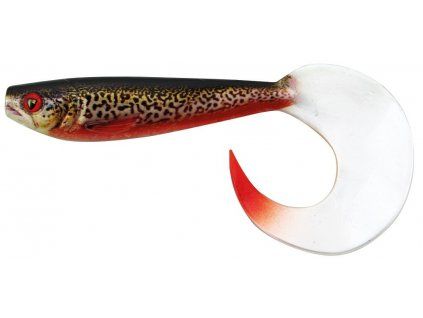 PRO SHAD ROACH