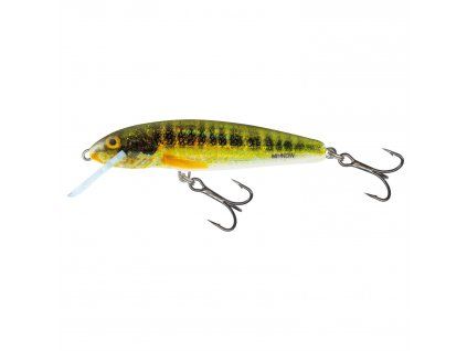HOLO REAL MINNOW