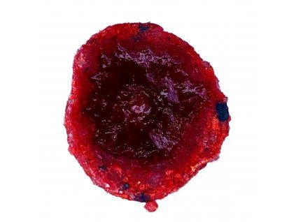 RAISIN LESNÍ JAHODA