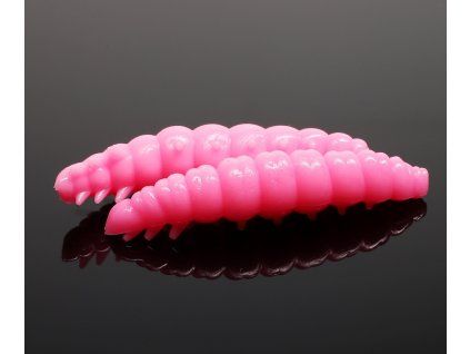 larva Bubble Gum 017