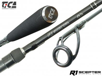 TICA Prut Scepter R1