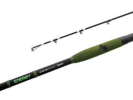 Sumcový prut Delphin ENERGY Catfish 250 500g 2 díly