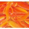 Nymfy Berkley PowerBait Nymph 1" (12ks) - Yellow/Orange