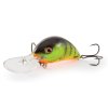 HOT PERCH