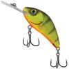 HOT PERCH 2
