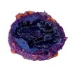 RAISIN PLUM