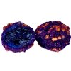 RAISIN PLUM 2