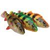 4D Perch Shad 12.5cm 23g SS 01 Perch 3