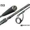 TICA Prut Scepter R1