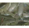 Pearl Olive Shad 2