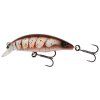 Brown Shrimp
