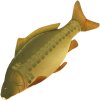 NGT Polštář Kapr 70cm 2